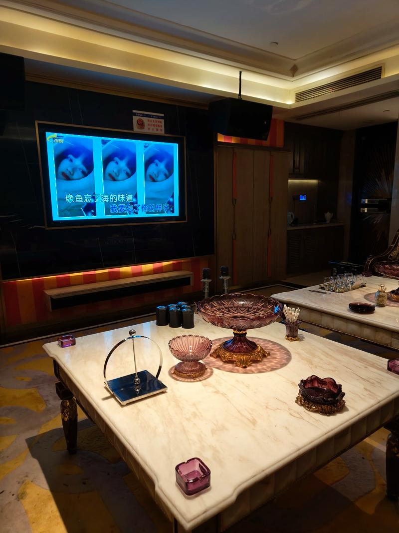 盘锦商务ktv营业时间及计时方式揭秘-盘山县ktv预订